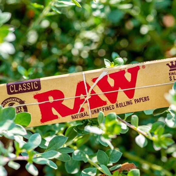 RAW KS_LS2 580x580