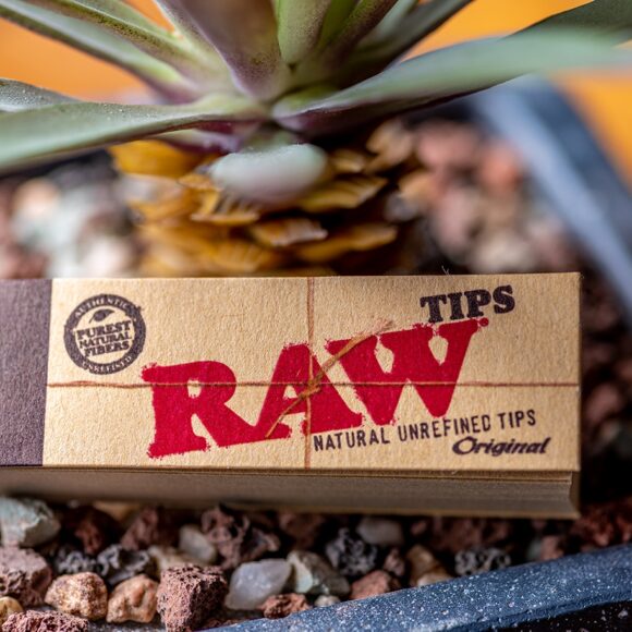 RAW TIPS ORIGINAL_LS2 580x580
