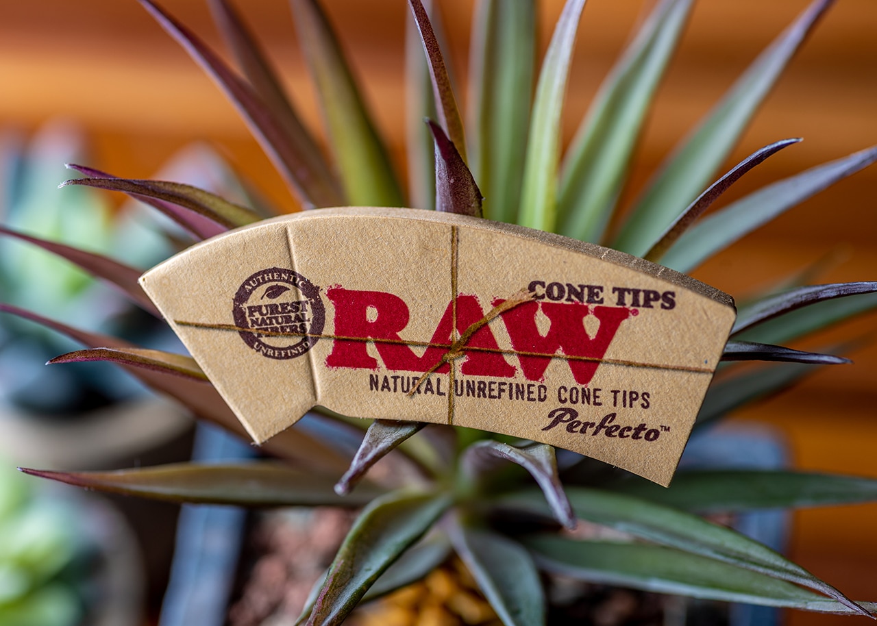 RAW TIPS PERFECTO_LS1