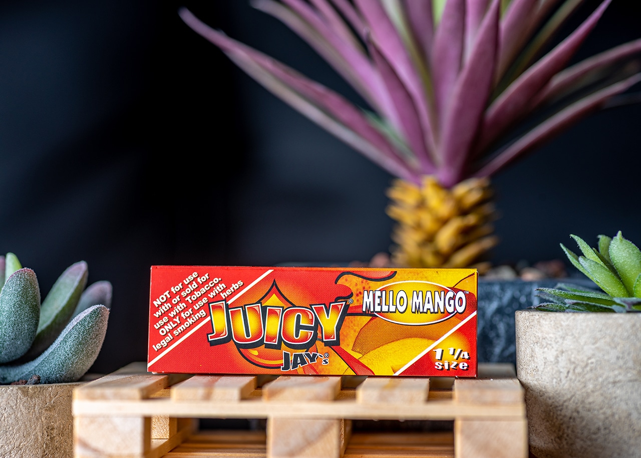 JJ MELLOMANGO 114